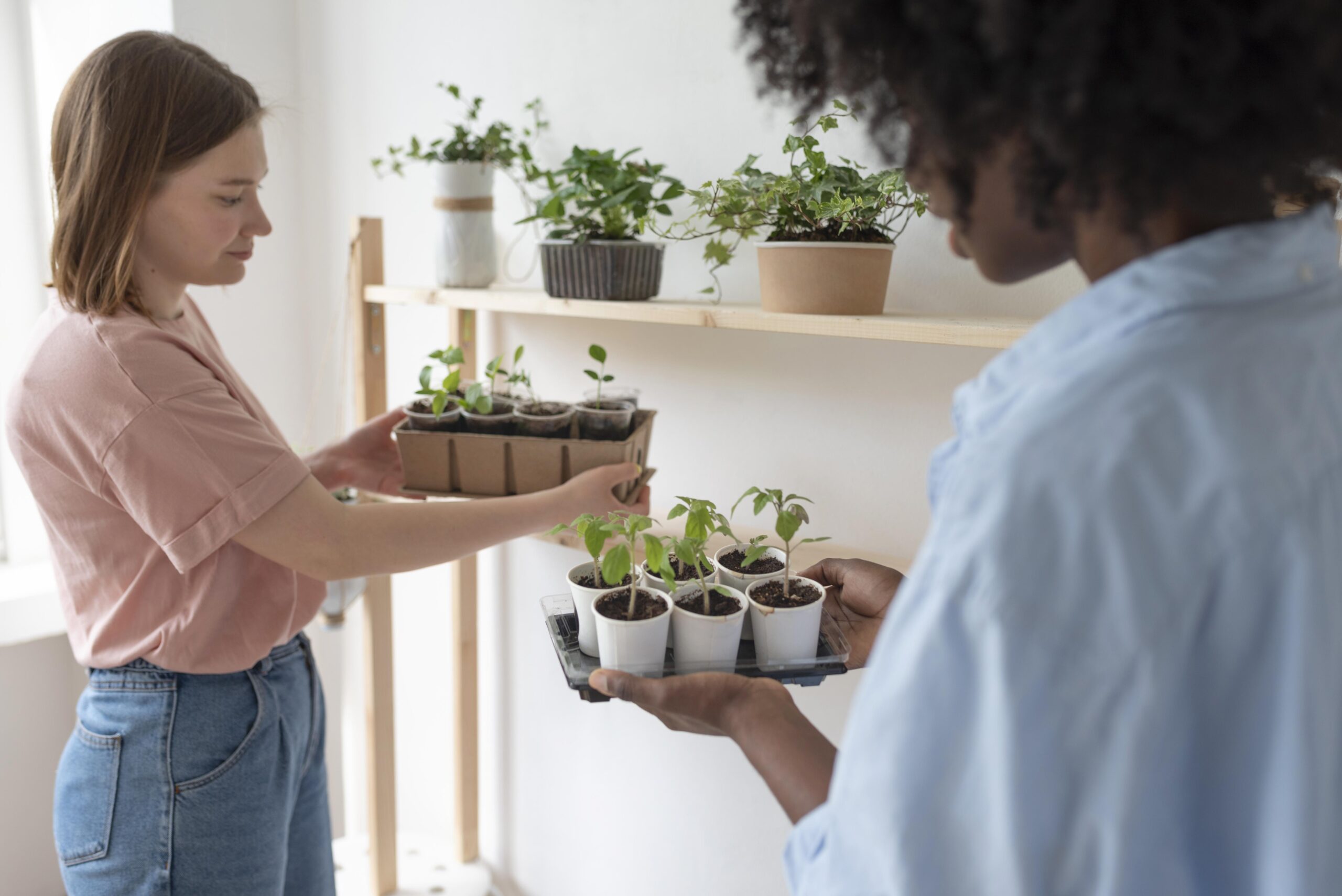 Amigas tendo um jardim sustentável dentro de casa